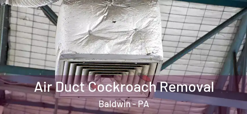  Air Duct Cockroach Removal Baldwin - PA