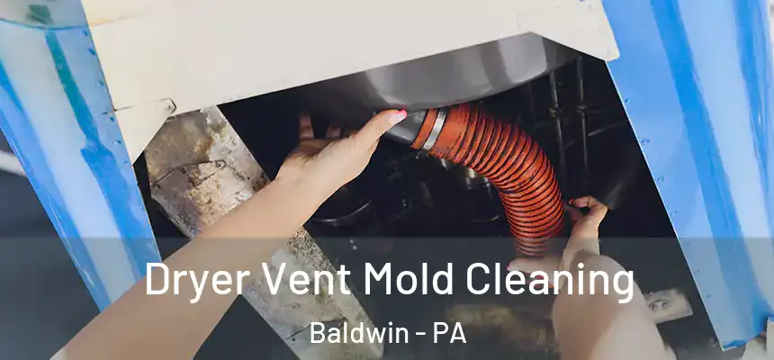  Dryer Vent Mold Cleaning Baldwin - PA
