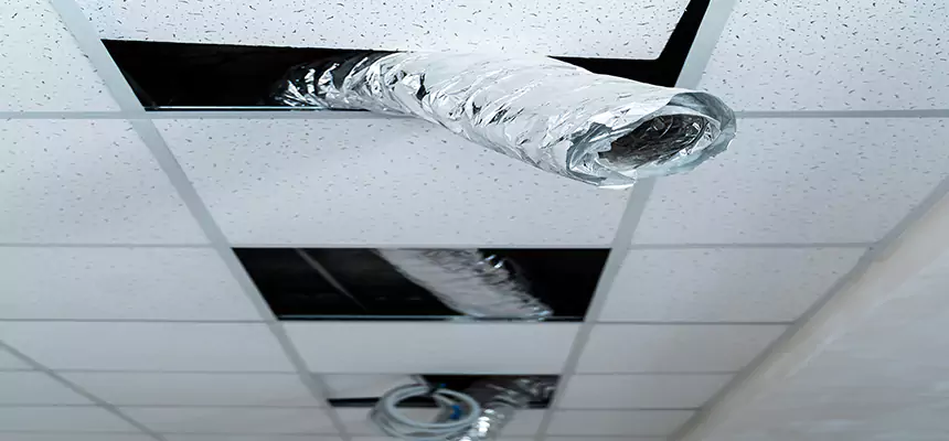 Our Air Duct Pet Hair Removal Services in Baldwin, PA