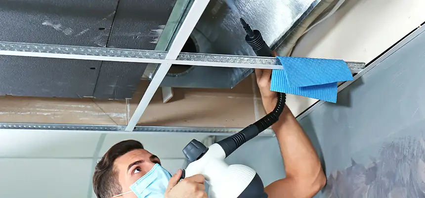 Our Air Duct Rodent Removal Services in Baldwin, PA