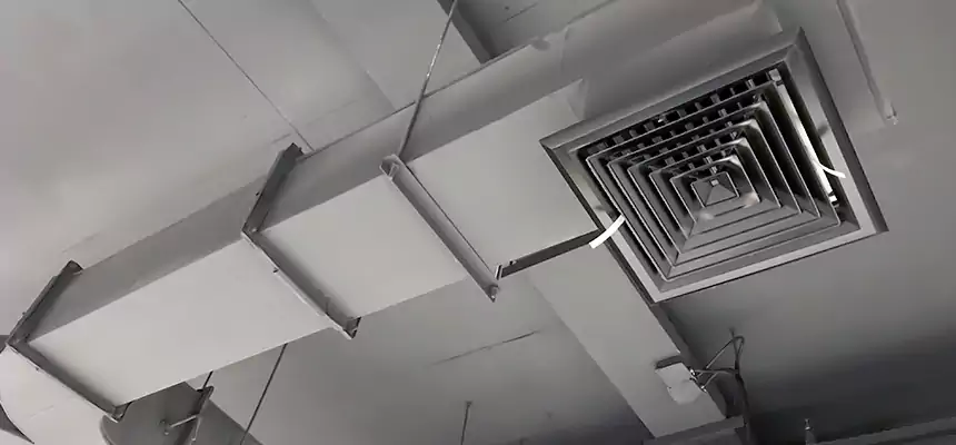 Restorative Allergy Relief Vent Cleaning – Coil, Blower & Housing Detail in Baldwin