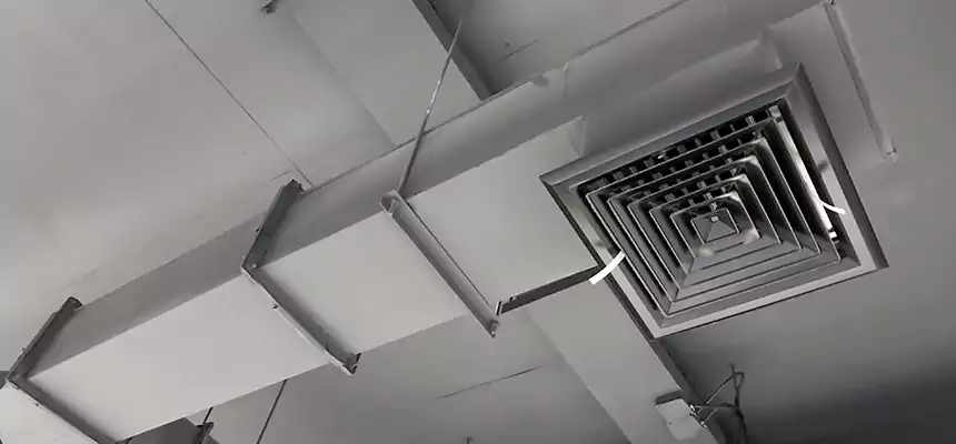 Our Rodent Droppings In Vents Services in Baldwin, PA