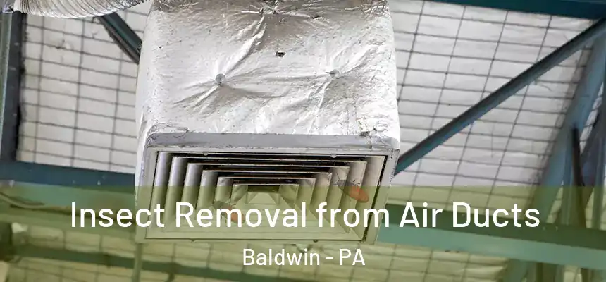 Insect Removal from Air Ducts Baldwin - PA
