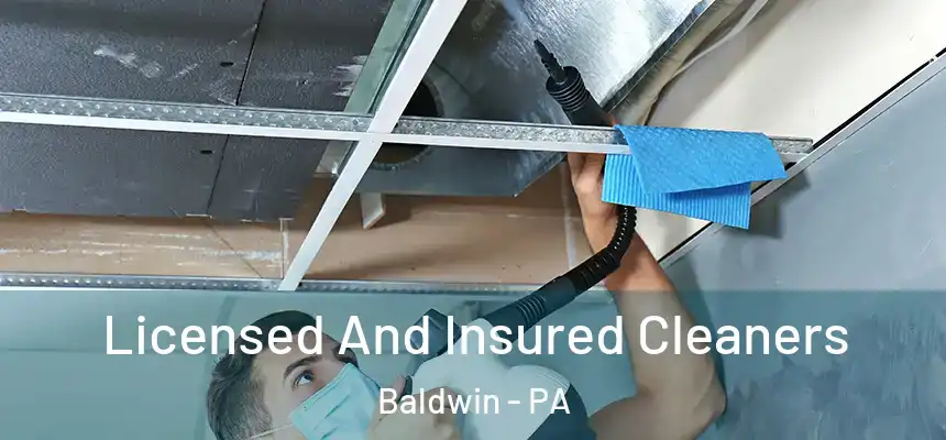 Licensed And Insured Cleaners Baldwin - PA