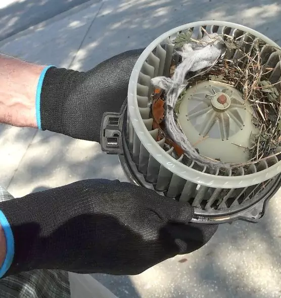 About Air Duct Rat Removal in Baldwin, PA